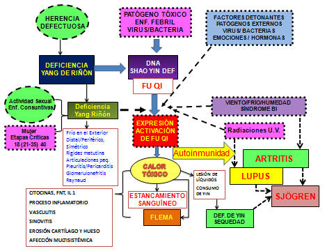ETIOLOGÍA Y FISIOPATOLOGÍA DE LAS ENFERMEDADES DE LA COLÁGENA